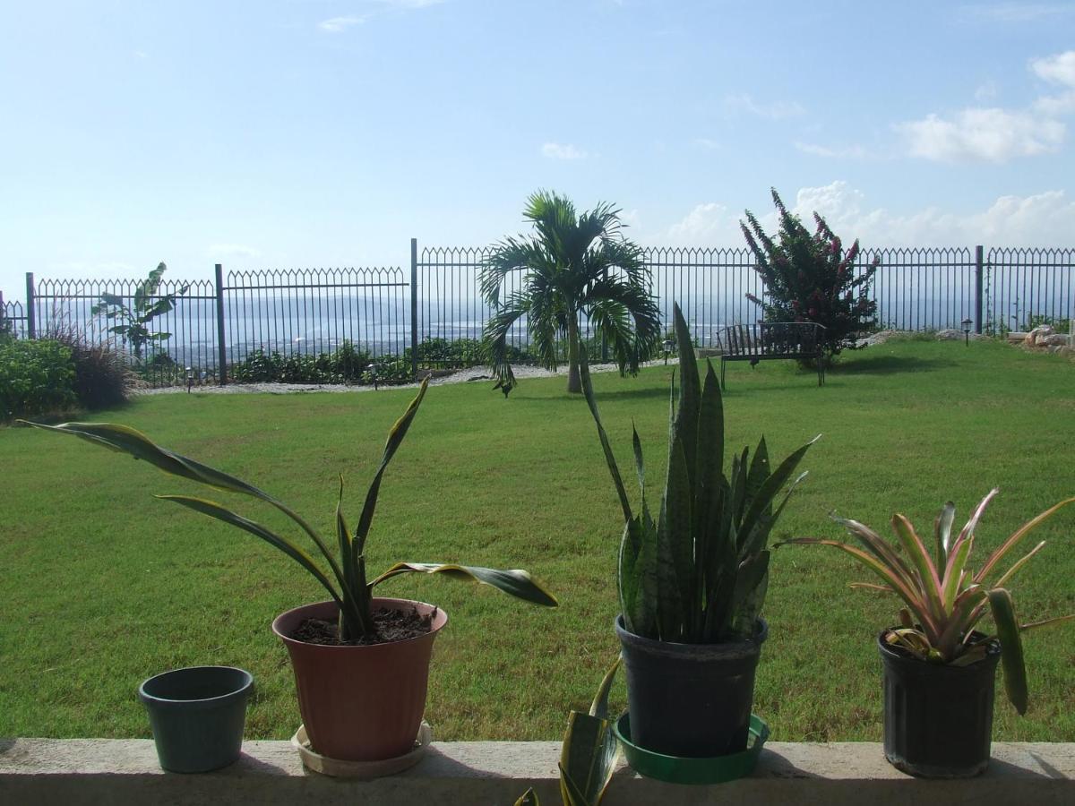 Vila Bella Vista Kingston Exteriér fotografie
